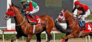 Canlı Bahis Sitelerinde At Yarışı Bahisleri Nasıl Oynanır?