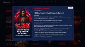 Benimbahis Giriş Yöntemleri